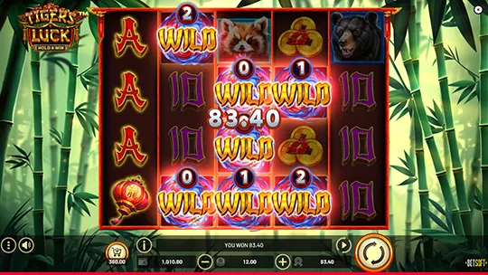 online casino