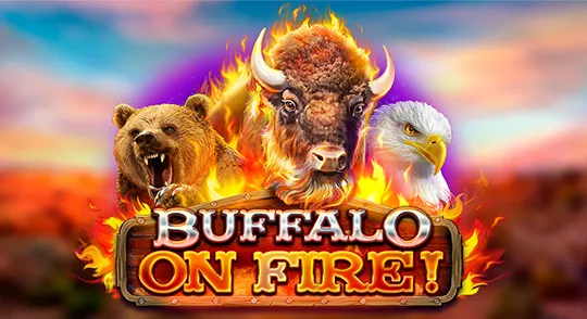 buffalo_on_fire-redrake.webp