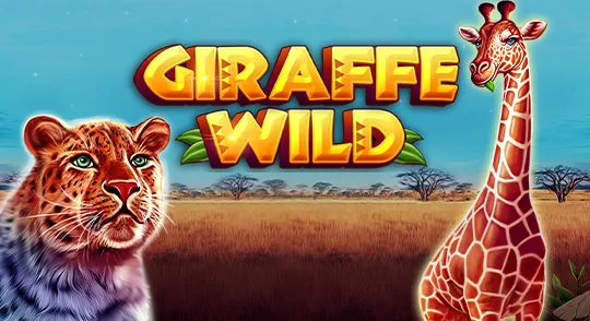 giraffe_wild_ct_interactive.webp