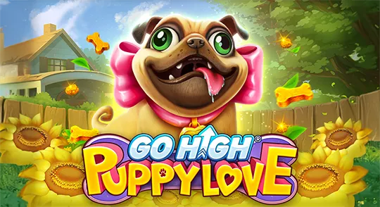 go-high-puppy-love-rubyplay.webp