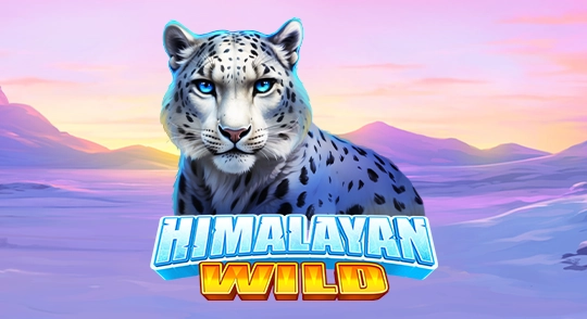 himalayan-wild-pragmatic.webp