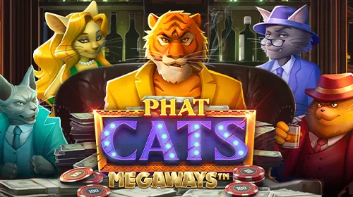 phatcats-500x280-1.webp