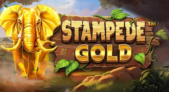 stampede-gold-betsoft.webp