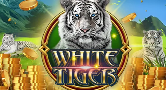 white_tiger-funkygames.webp