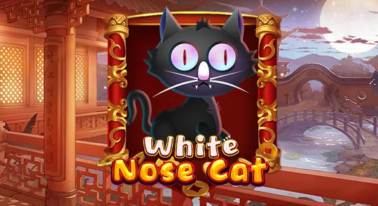 whitenosecat_kagaming.webp