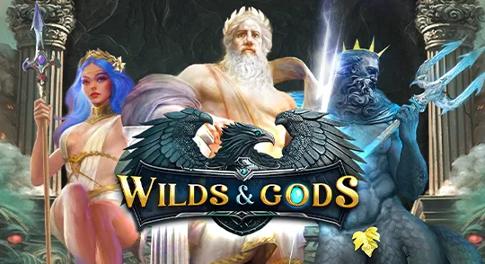 wilds_and_gods_smartsoft.webp