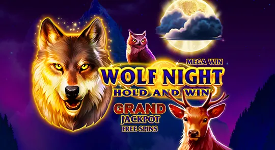 wolf-night.webp